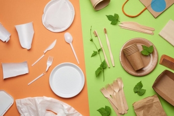 BA NHÓM NHỰA SINH HỌC (BIOPLASTIC) PHỔ BIẾN