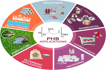 PHB - MỘT LOẠI PHA TIỀM NĂNG