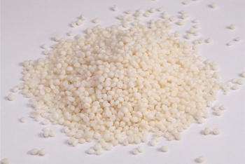 PBS - MỘT POLYME SINH HỌC TIỀM NĂNG